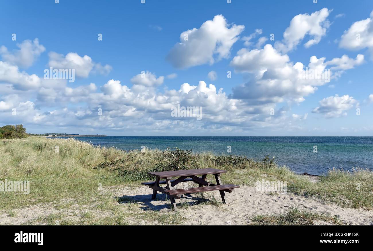 Paysage côtier et aire de pique-nique à la mer Baltique sur Fehmarn, Schleswig-Holstein, Allemagne Banque D'Images