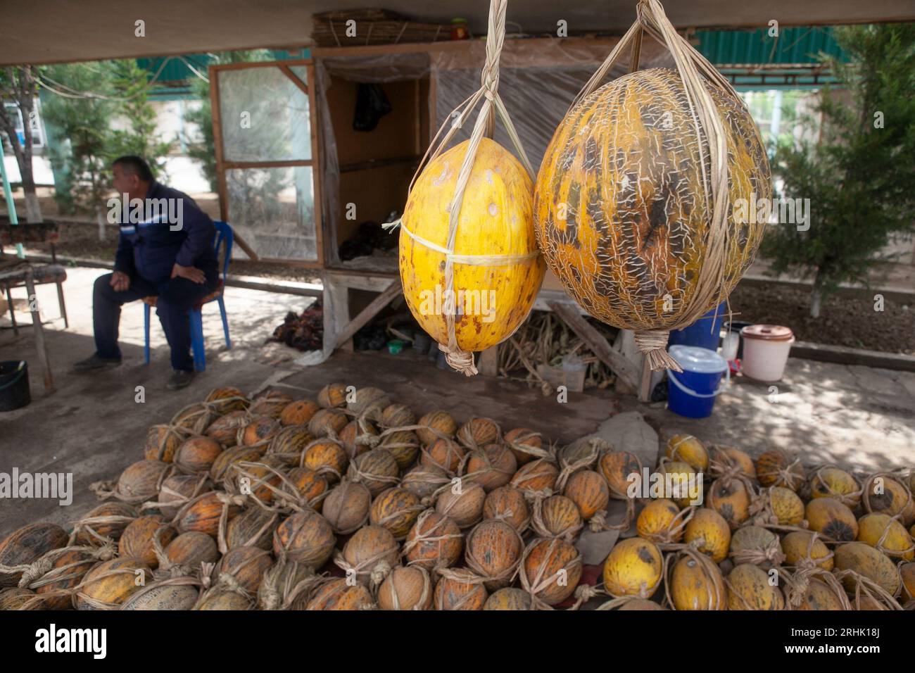 Melons à vendre à Jizzakh, Ouzbékistan. Banque D'Images