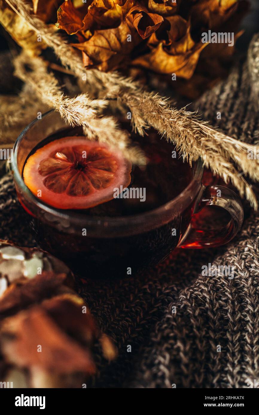 Une tasse de thé avec du citron et de la plante sèche contre le tissu tricoté. Automne maison confortable nature morte. Tir vertical Banque D'Images