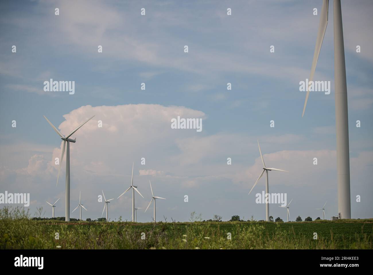Production d'électricité dans un parc éolien à turbines sur l'île Wolfe ; initiatives de l'Ontario en matière de ressources renouvelables pour la production d'énergie verte Banque D'Images