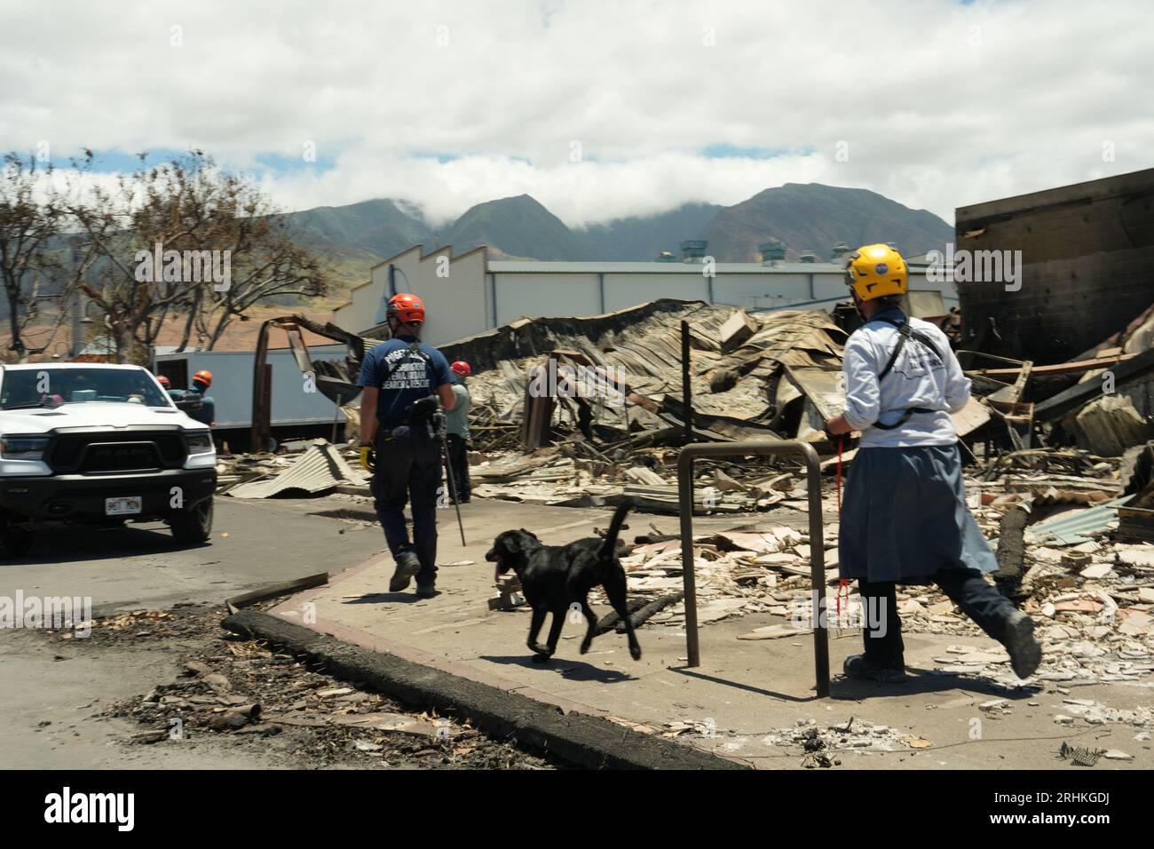 Lahaina, États-Unis. 13 août 2023. Recherche urbaine de la FEMA utilisez des chiens de cadavres pour fouiller la zone brûlée après que des feux de forêt aient balayé la ville de Maui, le 13 août 2023 à Lahaina, Maui, Hawaii. Les feux de forêt attisés par des vents violents ont tué au moins 100 personnes et détruit des milliers de maisons sur l'île. Crédit : Dominick Del Vecchio/FEMA/Alamy Live News Banque D'Images