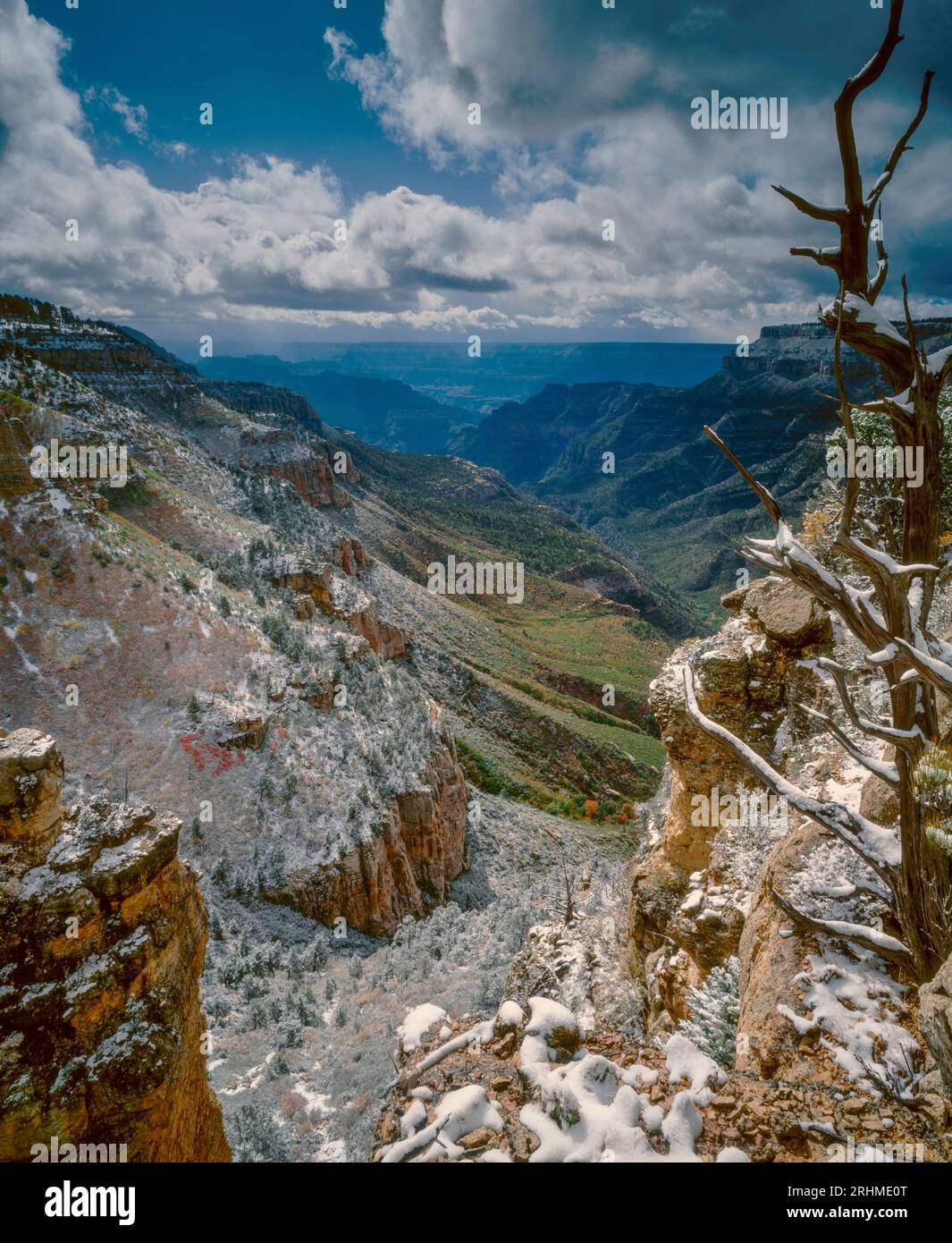 Tempête de neige, Swamp point, Bass Canyon, Grand Canyon NP AZ Banque D'Images