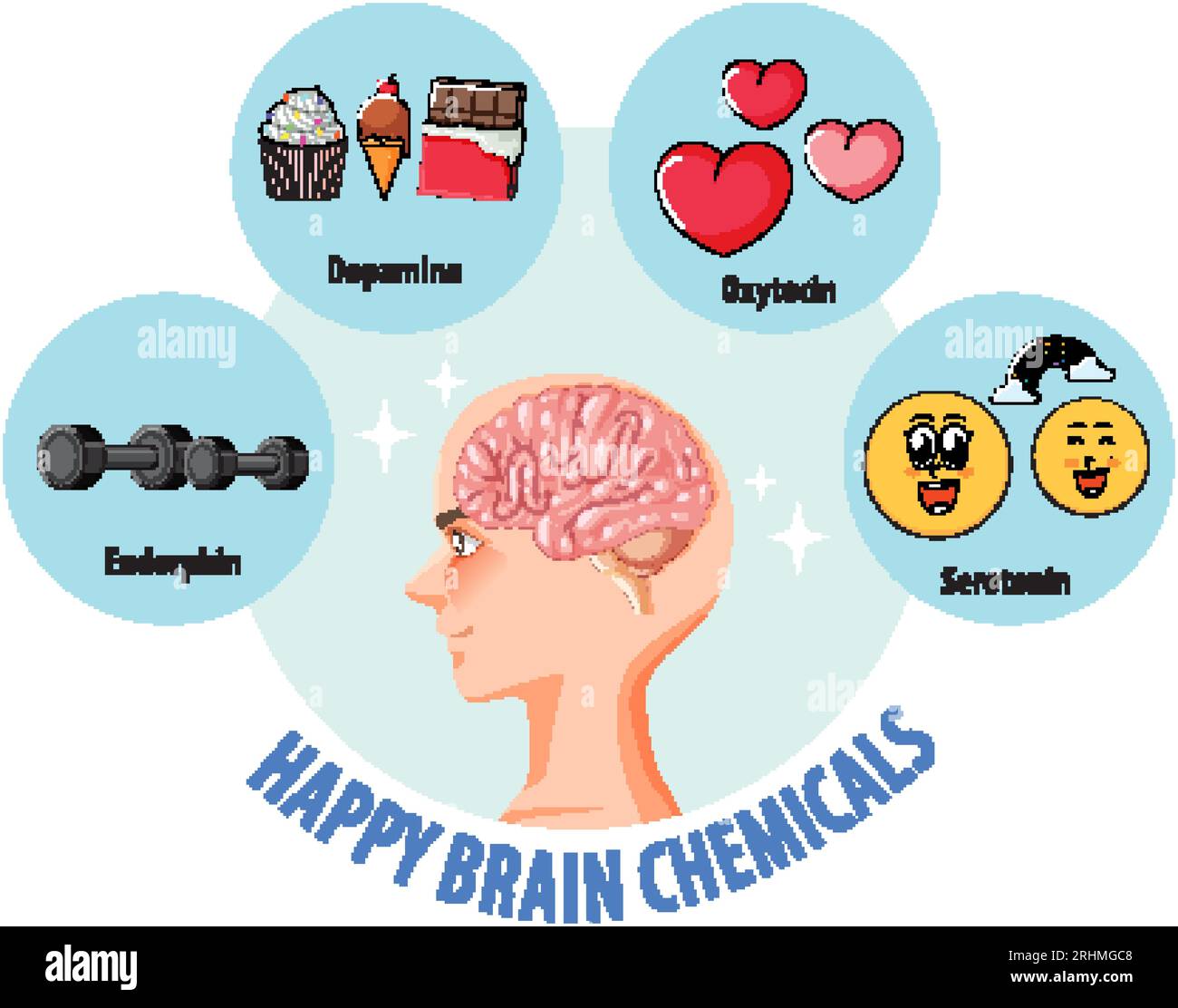 Illustration de produits chimiques heureux du cerveau dans un cerveau humain sain Illustration de Vecteur
