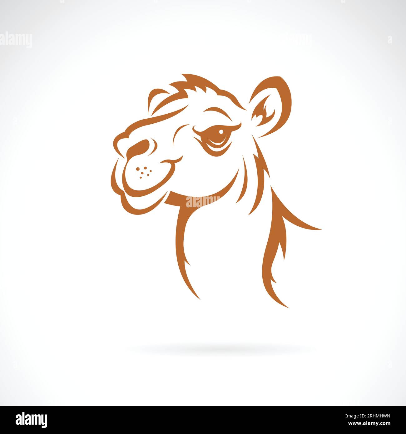 Vecteur d'une conception de tête de chameau sur fond blanc. Animaux sauvages. Illustration vectorielle en couches facile à modifier. Illustration de Vecteur