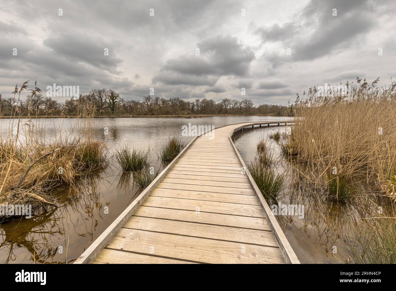 Promenade sur le lac au début du printemps dans la réserve naturelle la Brenne, France. Accessible aux personnes à mobilité réduite. Scène sauvage de la nature en Europe. Banque D'Images