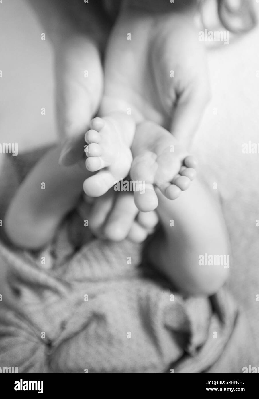 Pieds nouveau-nés dans les mains des mères, noir et blanc Banque D'Images