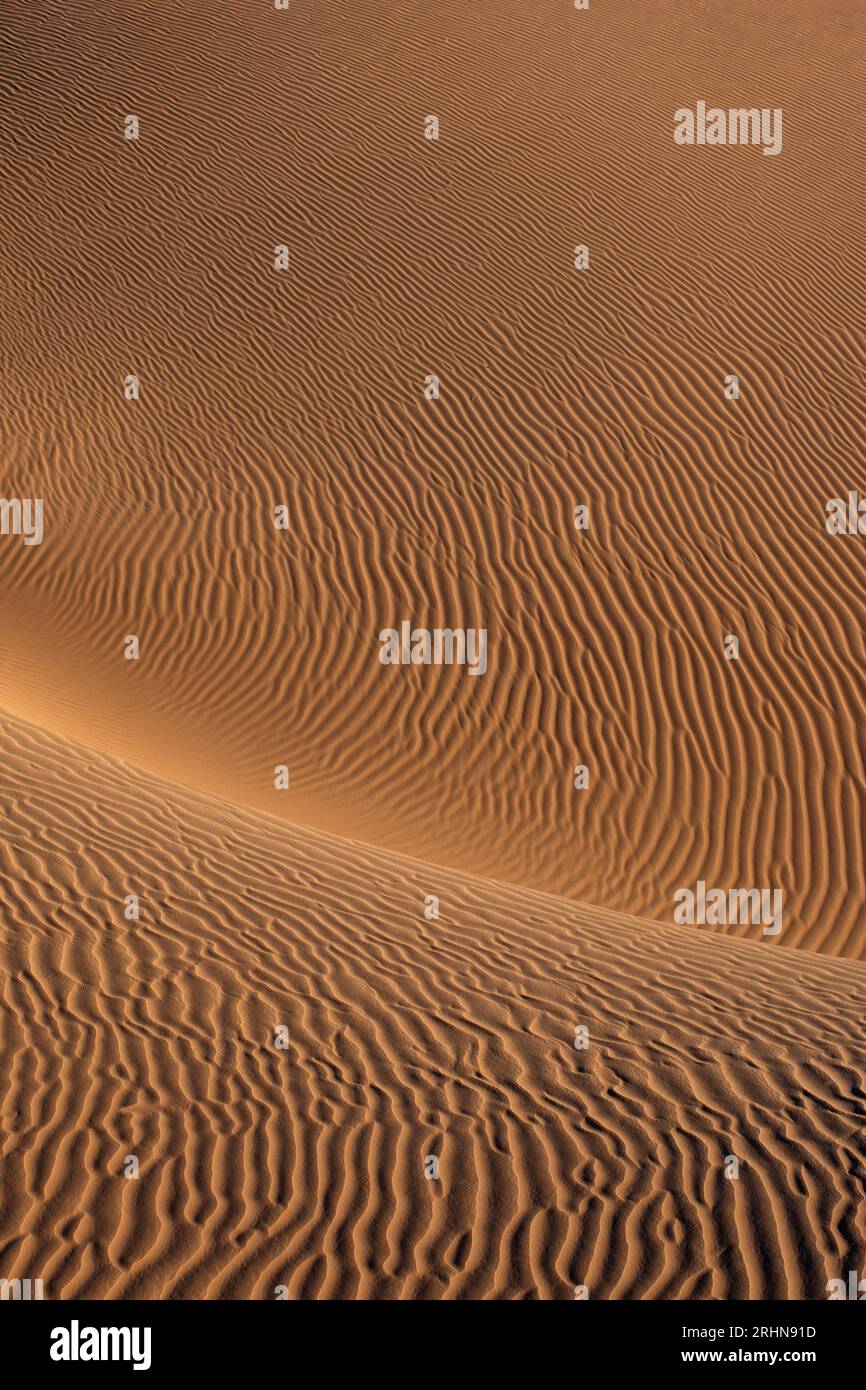 Détail des motifs dans les dunes de sable roulantes verticales Banque D'Images