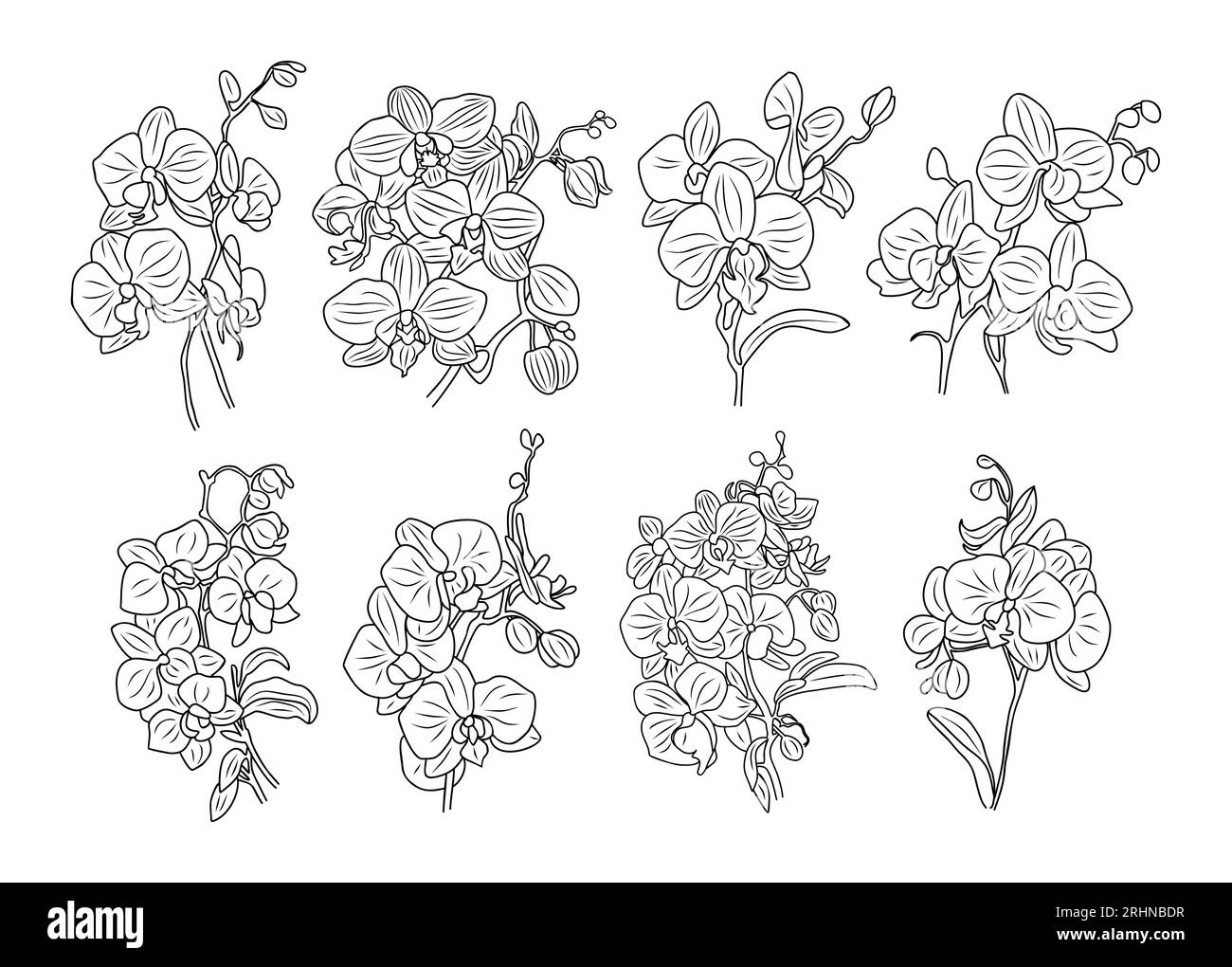 Ensemble de fleurs d'orchidée et de bouquets vecteur d'art de ligne Illustration de Vecteur