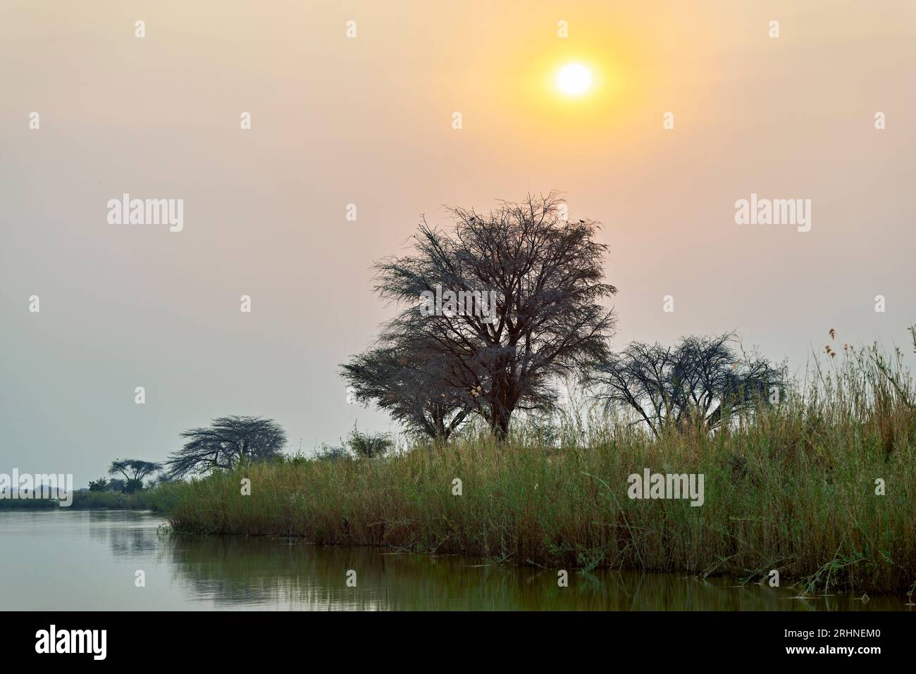 Namibie. Les rives de la rivière Okavango au crépuscule Banque D'Images