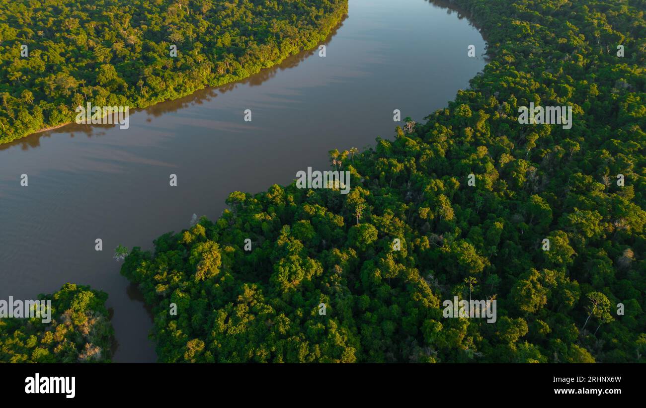 Rivière de l'Amazonie péruvienne qui a des forêts de plaine inondable sur les côtés, jungle pleine de faune dans l'Amazonie péruvienne Banque D'Images