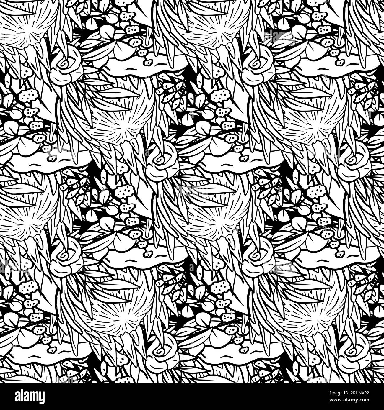 Motif sans couture noir et blanc avec des fleurs protea art au trait Illustration de Vecteur