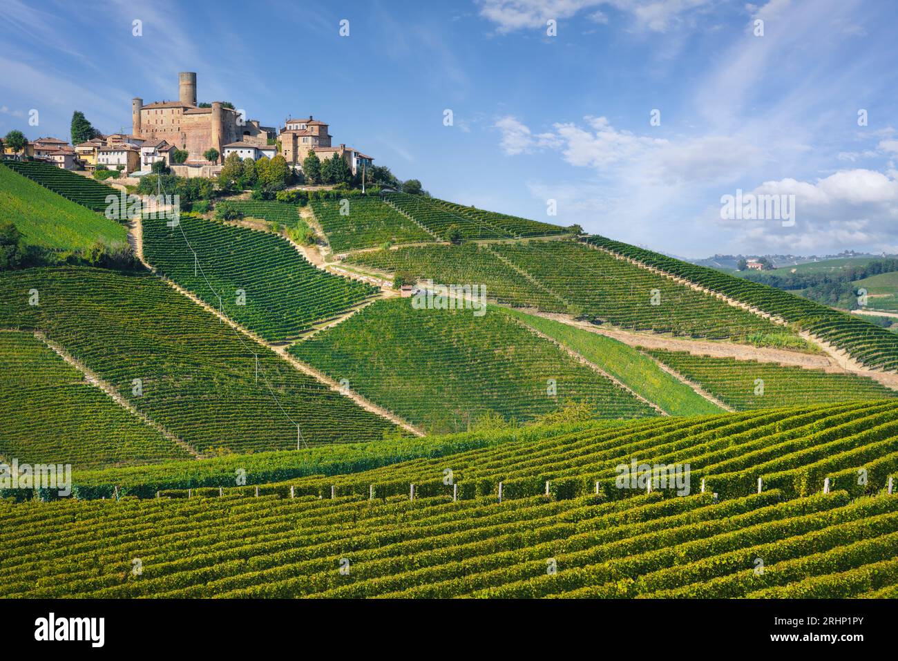 Paysage des vignobles de Langhe et village de Castiglione Falletto au sommet de la colline, site classé au patrimoine mondial de l'UNESCO, région du Piémont, Italie, Europe. Banque D'Images