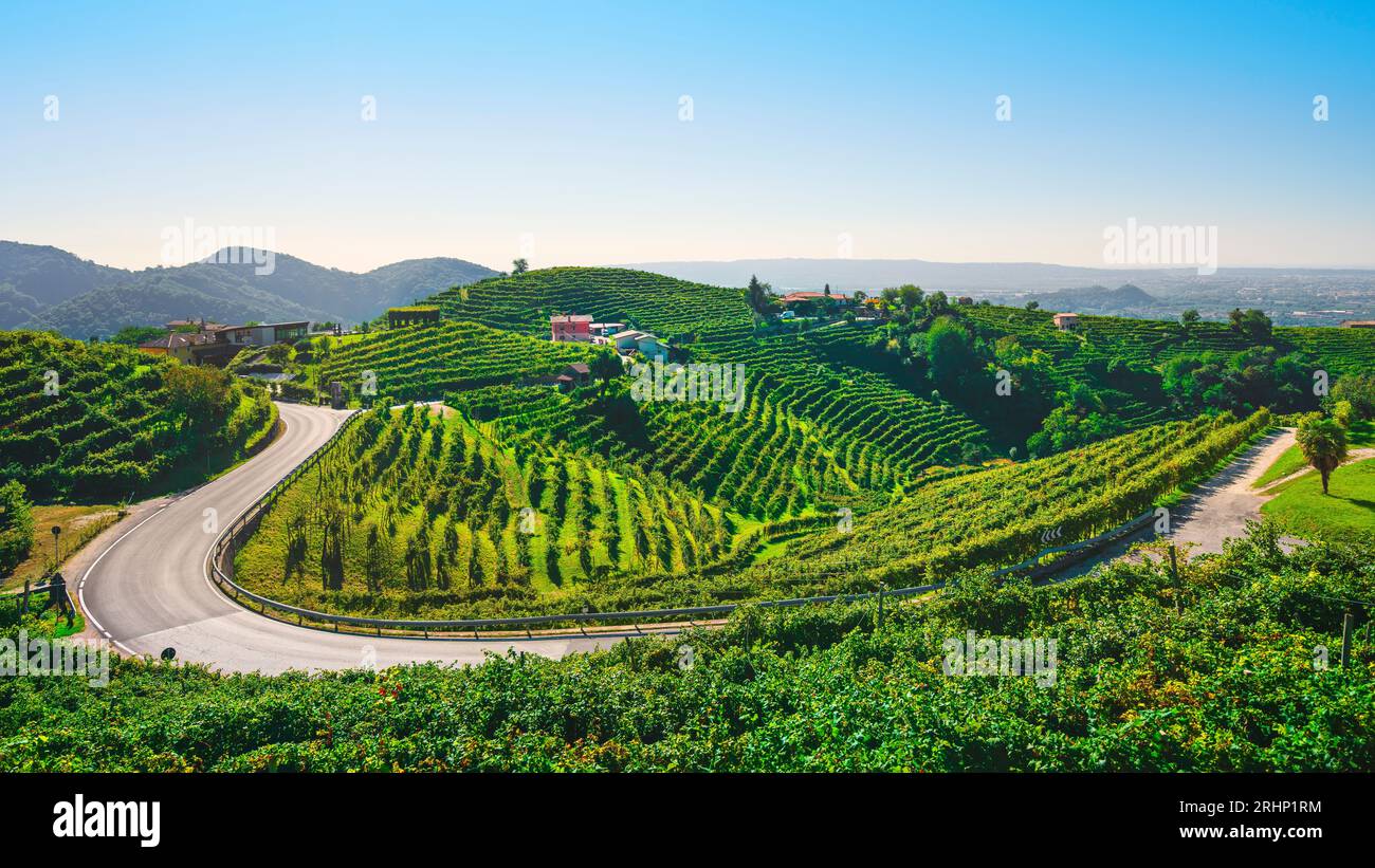 Vignobles et une route dans les collines de Prosecco, site du patrimoine mondial de l'UNESCO. Valdobbiadene, région de Vénétie, Italie Banque D'Images