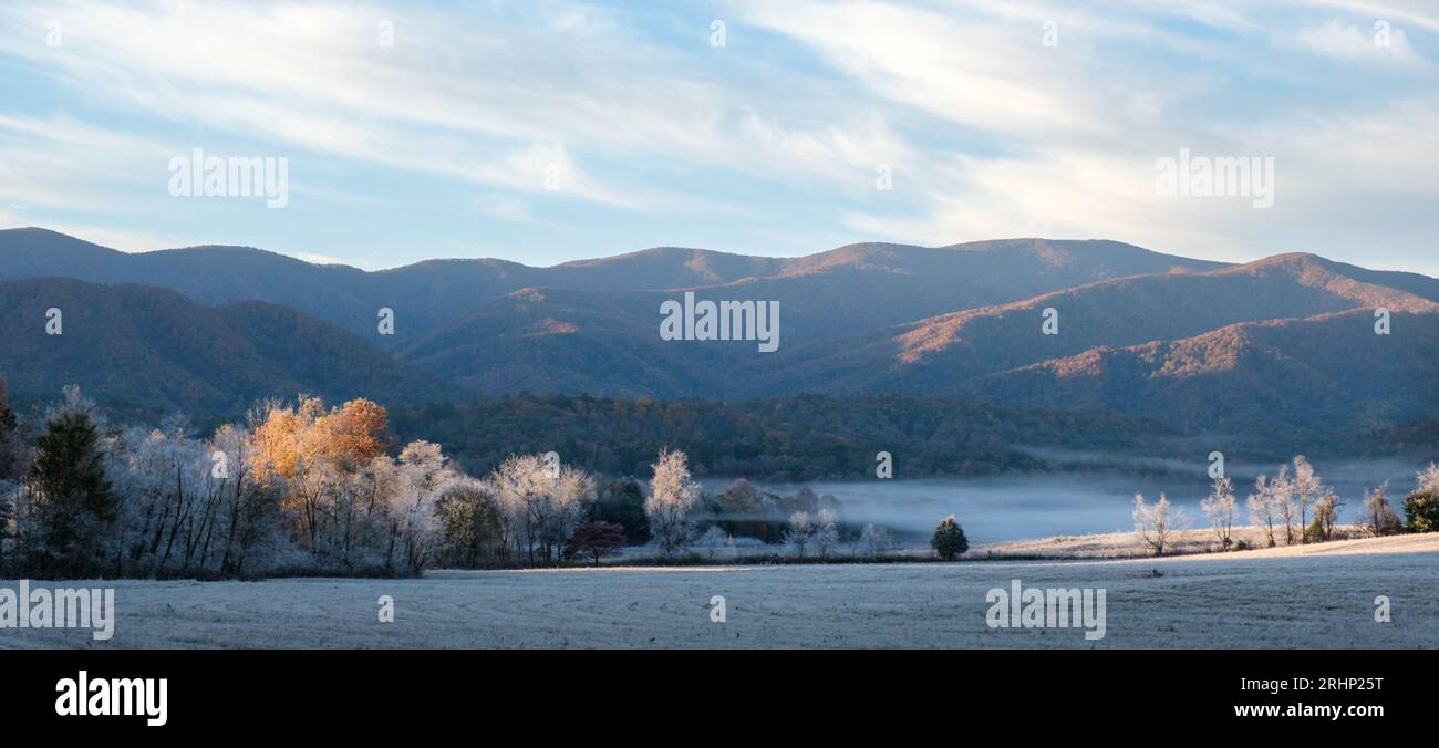 Cades Cove, parc national des Great Smoky Mountains - comté de Sevier, Tennessee. Le soleil commence à jeter un coup d'œil sur la chaîne de montagnes et illumine un groupe d'arbres Banque D'Images