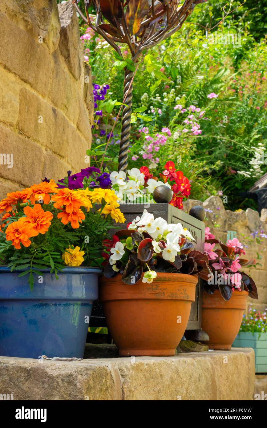 Pots de fleurs dans un jardin patio en été contenant des plantes en pot, y compris des bégonias, des soucis et des pétunias. Banque D'Images