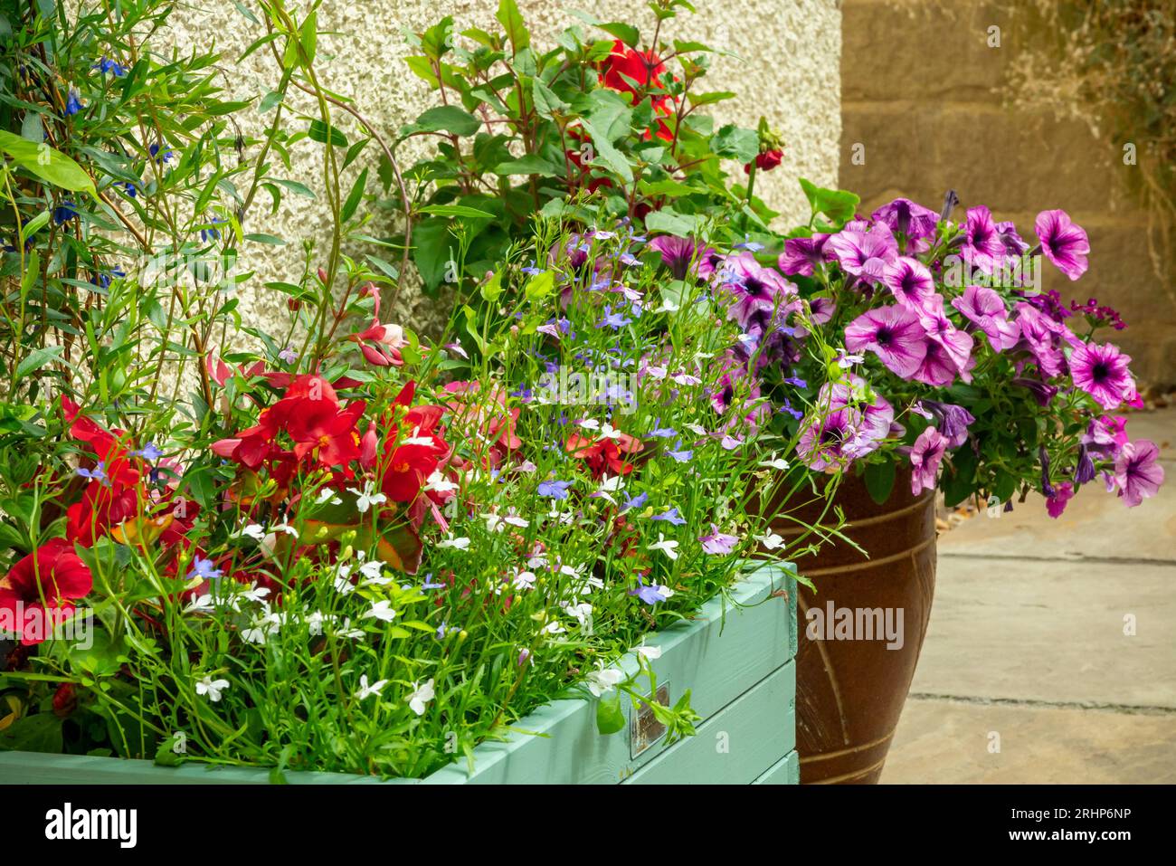 Jardinières en bois et pots dans un jardin patio en été contenant des plantes en pot, y compris lobelia, des soucis et des pétunias. Banque D'Images