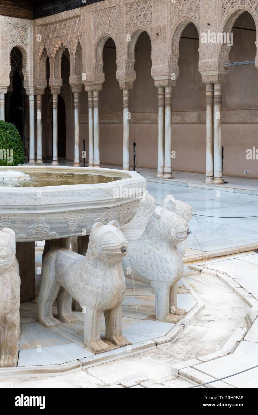 Espagne, Andalousie, Grenade, Alhambra, Palacios Nazaries, patio de los Leones, Cour Lion Banque D'Images
