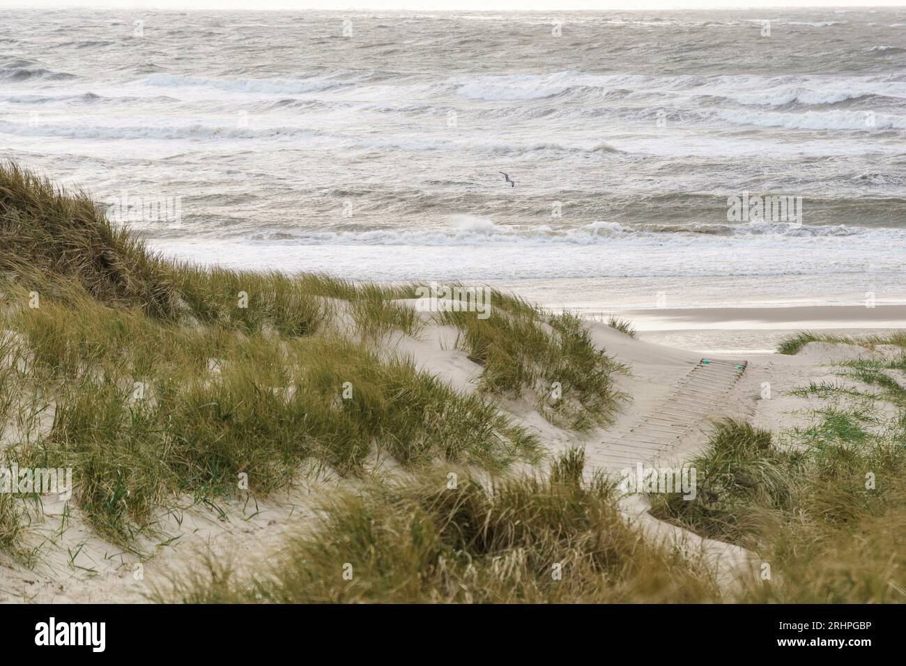 Paysage de dunes avec vue sur la mer sans personnes Banque D'Images