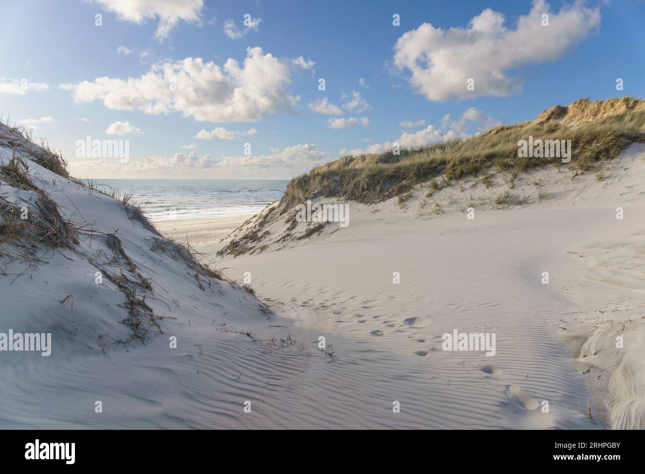 Dune de sable, mer, surf, immensité, ensoleillé, paysage de dune Banque D'Images