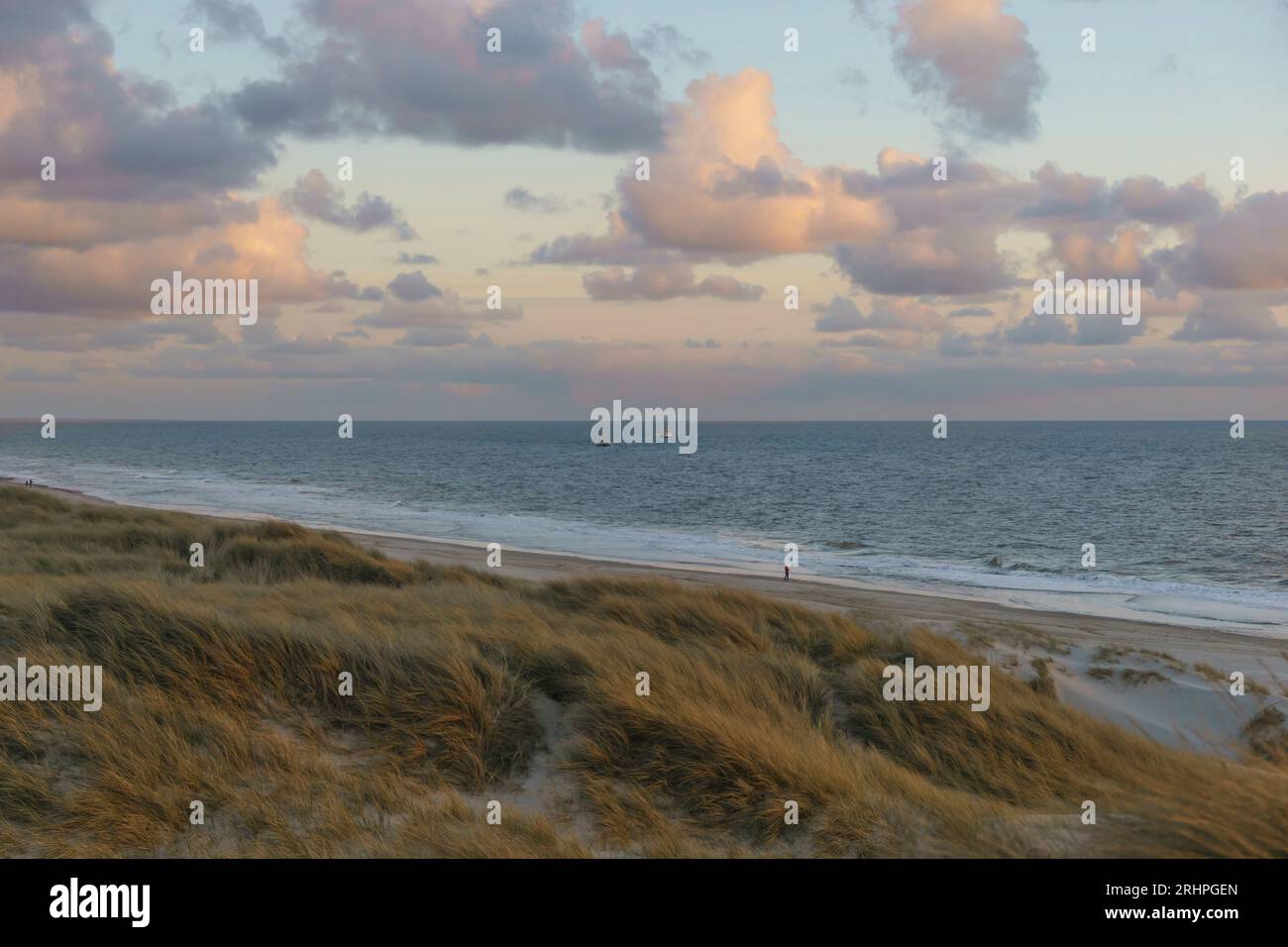 Plage, ambiance du soir, étendue, mer, Danemark, nuages Banque D'Images