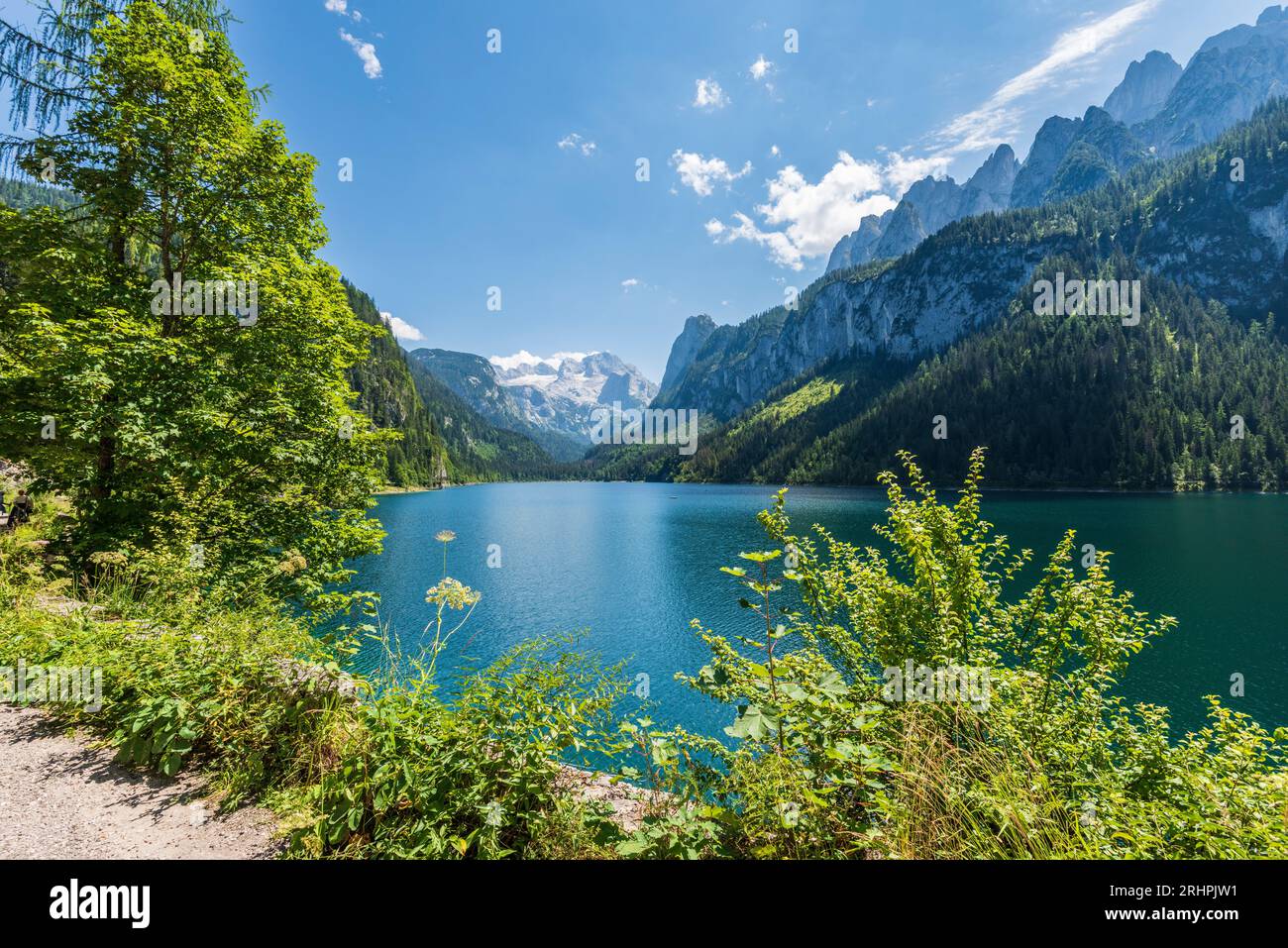 Vorderer Gosausee et massif du Dachstein dans le Salzkammergut, haute-Autriche, Autriche Banque D'Images