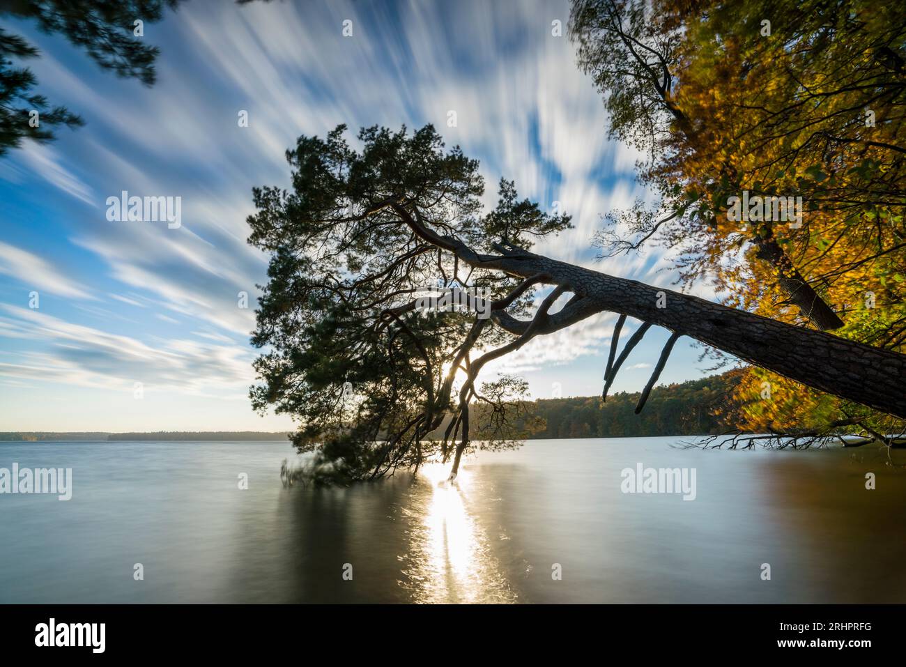 Lac Stechlinsee, Stechlin en automne, Brandebourg, Allemagne Banque D'Images