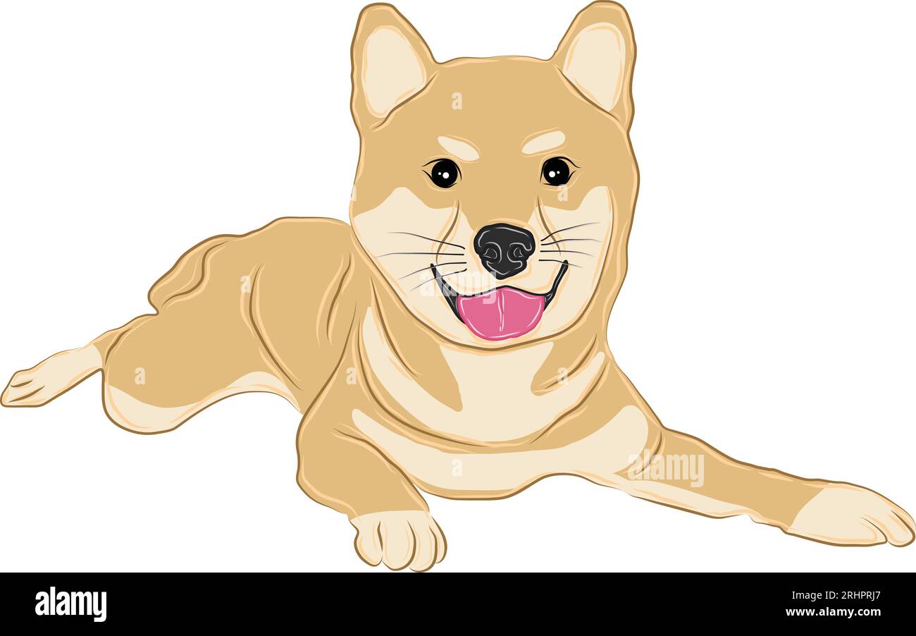 Image vectorielle ou illustration d'un chien shiba inu couché souriant et sortant de la langue. Illustration de Vecteur