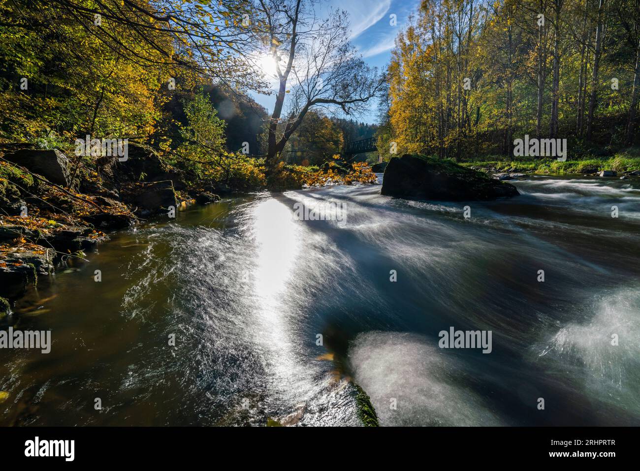 Elstertal, Steinigt, Vogtland, belle journée d'automne dans une forêt tranquille près de l'eau, Saxe, Allemagne Banque D'Images