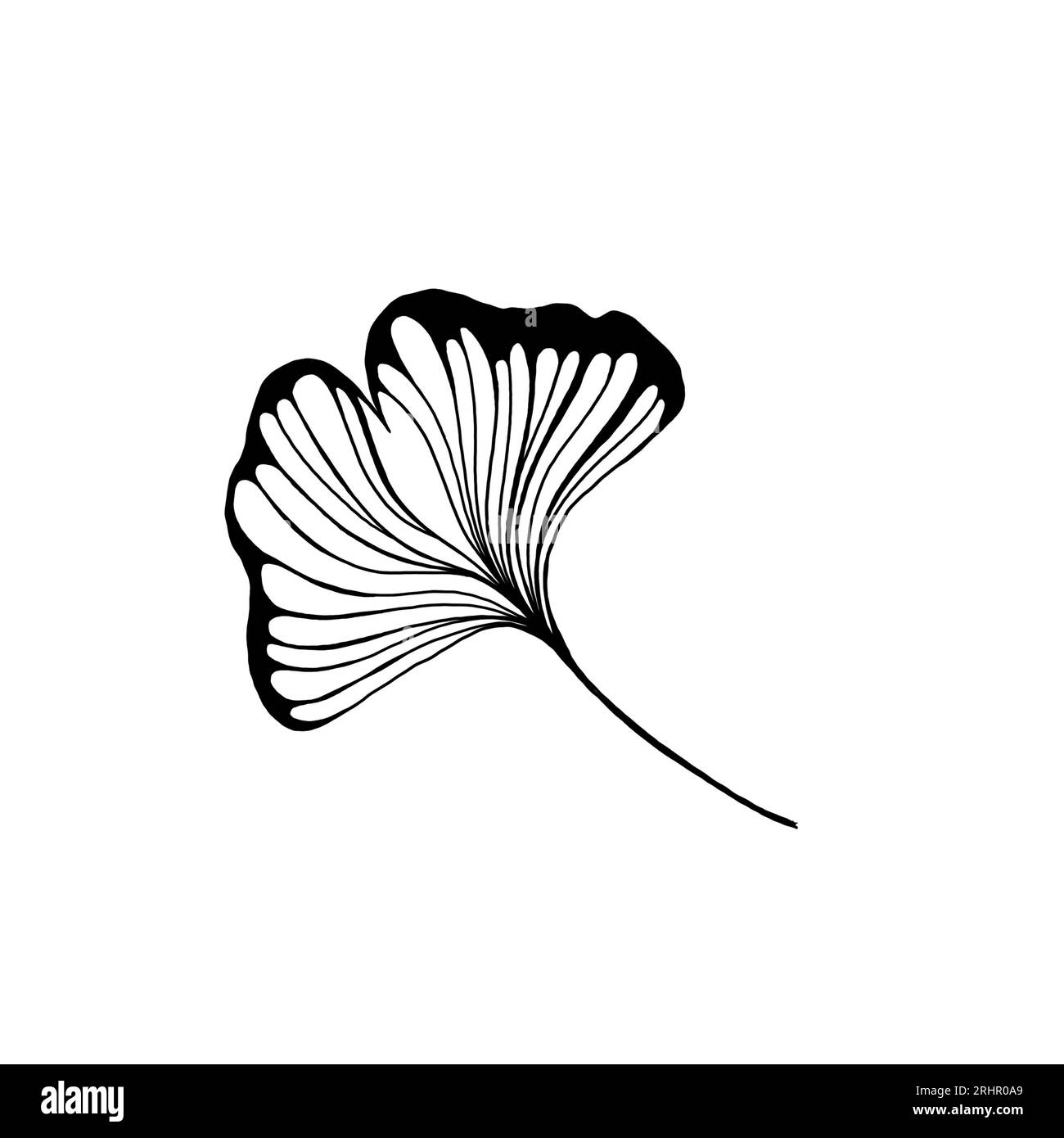 Feuille plate de ginkgo biloba de dessin animé isolé sur blanc. Nature ECO icon.Leaflet icône organique. Icône cosmétique et plante médicale Banque D'Images