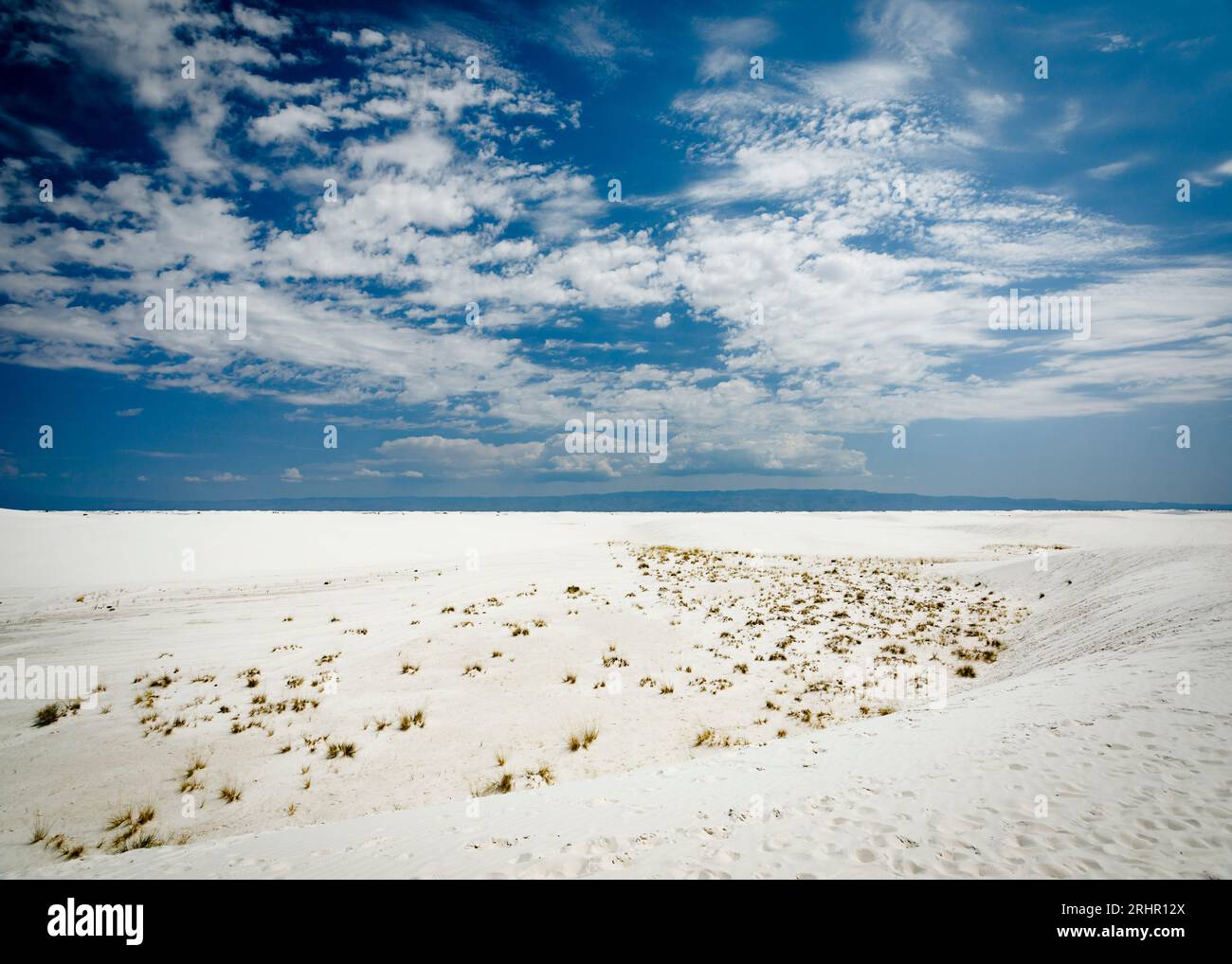 White Sands National Park, New Mexico, USA Banque D'Images