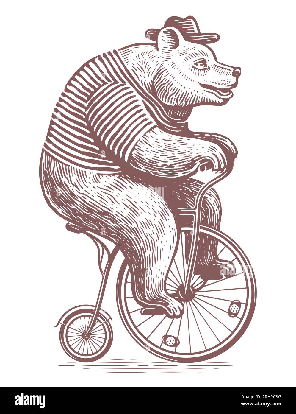 Drôle d'ours sur le style de gravure de vélo rétro. Spectacle de cirque. Illustration vectorielle d'esquisse Illustration de Vecteur