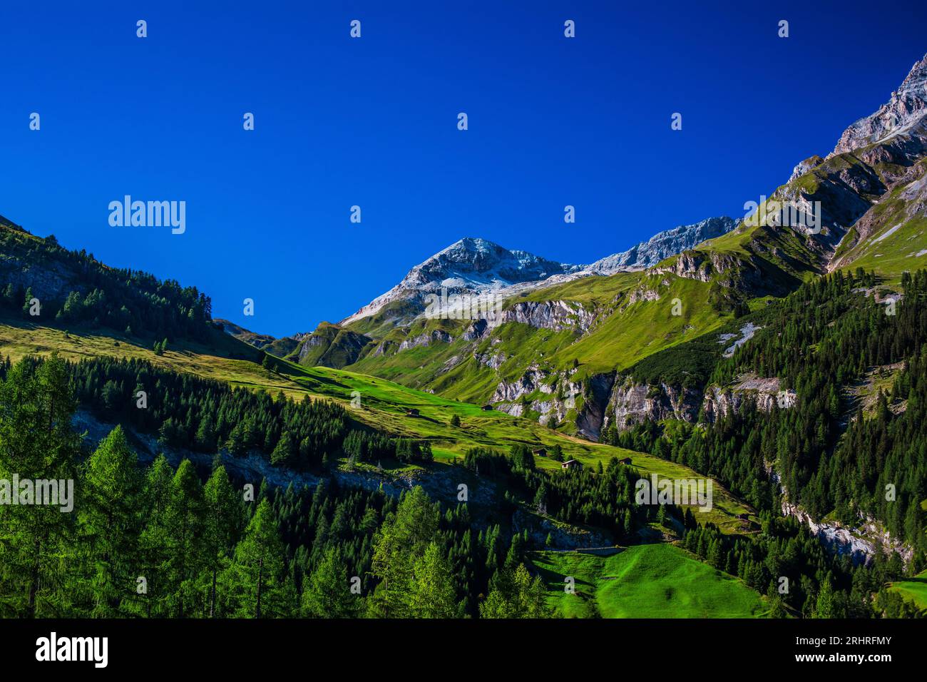 Montagnes des Alpes suisses en été Banque D'Images