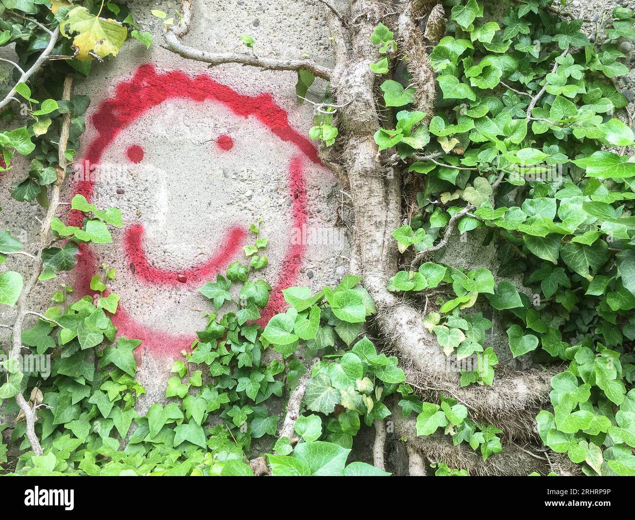 Symbole de sourire sur le mur entouré de végétation Banque D'Images