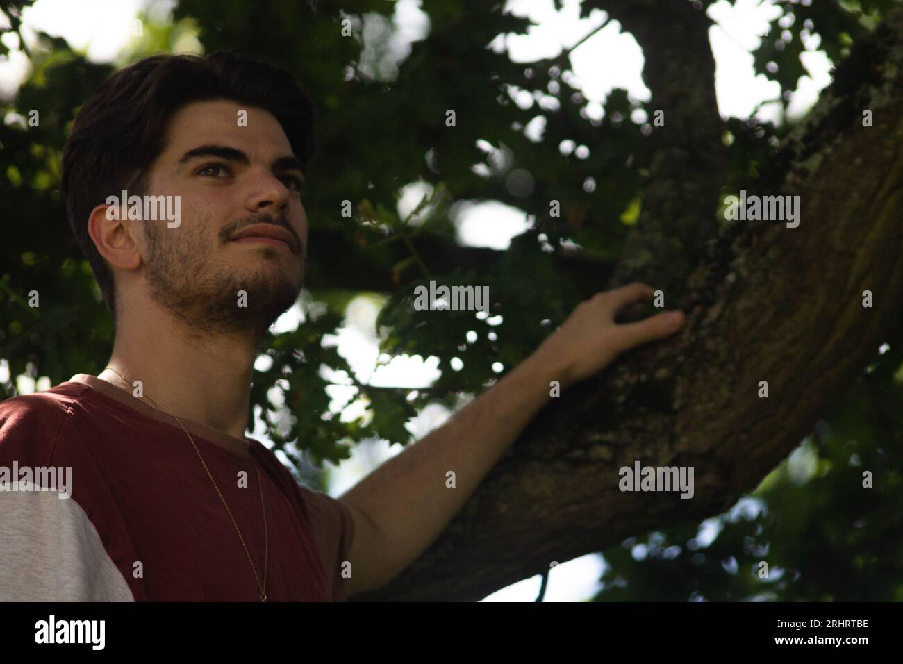 Jeune homme dans le parc Banque D'Images