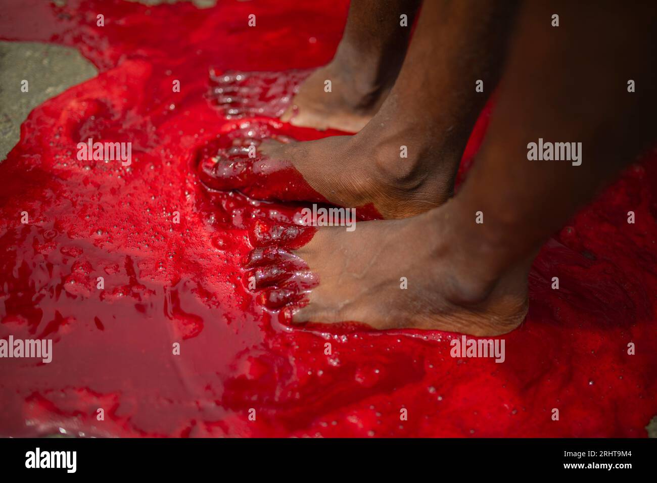 Les musulmans trempent leurs pieds dans le sang après avoir massacré un animal dans la rue à Dhaka pour le plus grand festival musulman Eid-ul-Azha également connu sous le nom d'Eid Banque D'Images