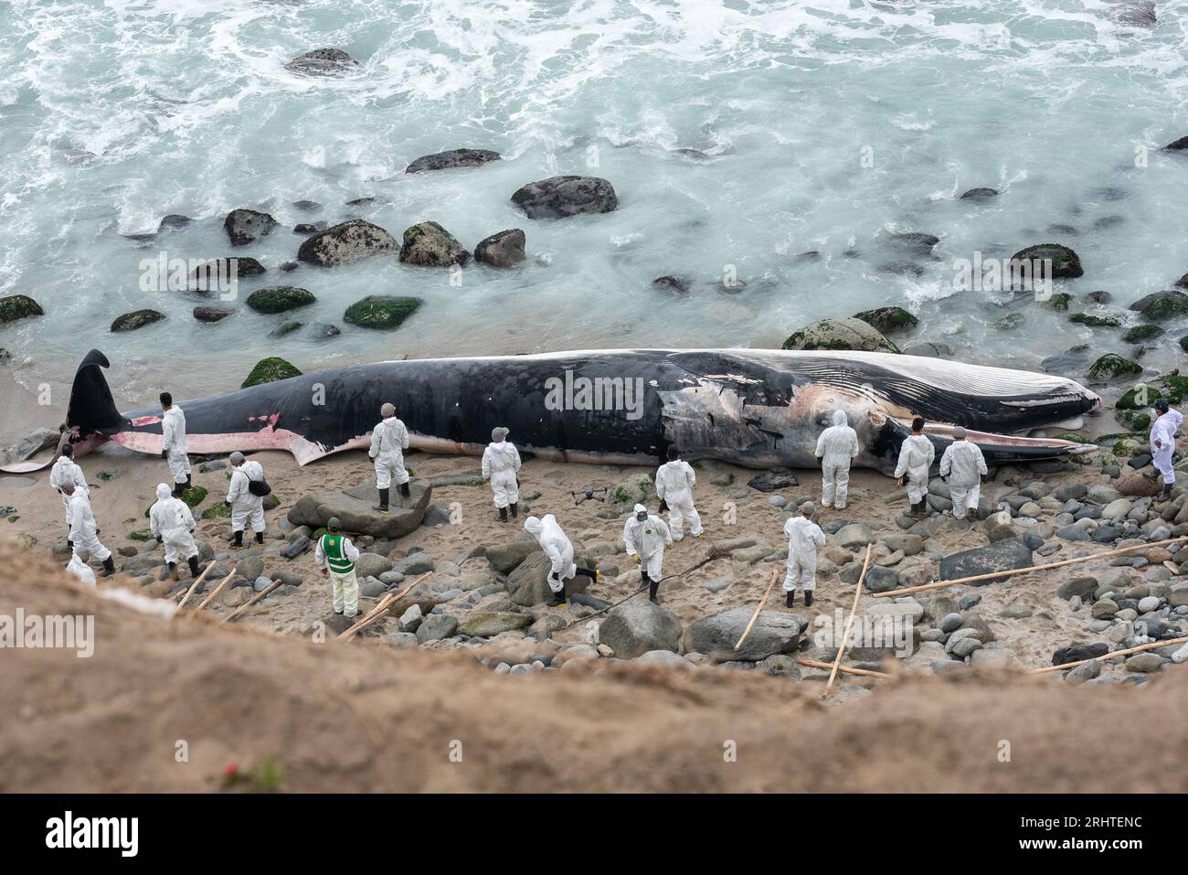 Côte des baleines échouées du Pérou. Plage de Punta Hermosa. Lima Banque D'Images