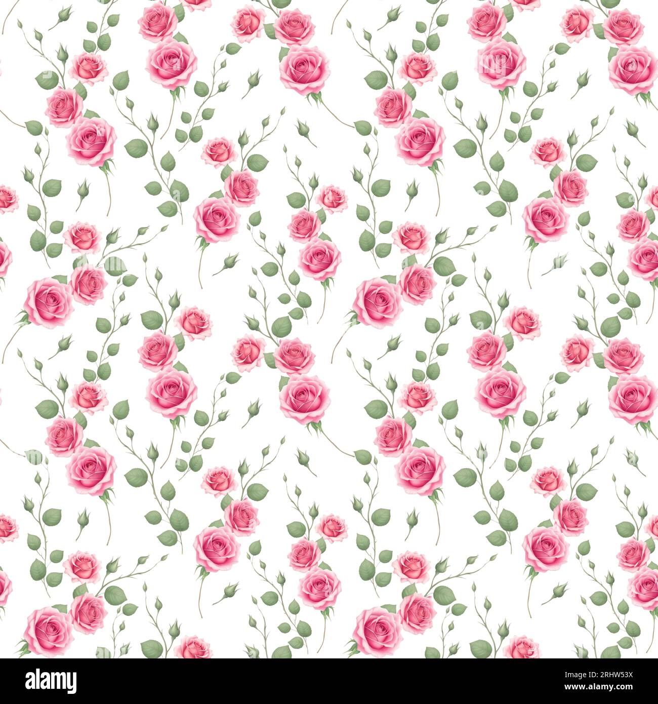 Bouquets de fleurs roses éléments Seamless pattern full full sur blanc Banque D'Images
