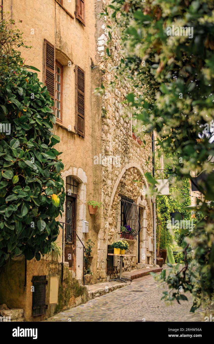 Vieilles maisons traditionnelles en pierre dans une rue de la ville médiévale de Saint Paul de Vence, Côte d'Azur, Sud de la France Banque D'Images