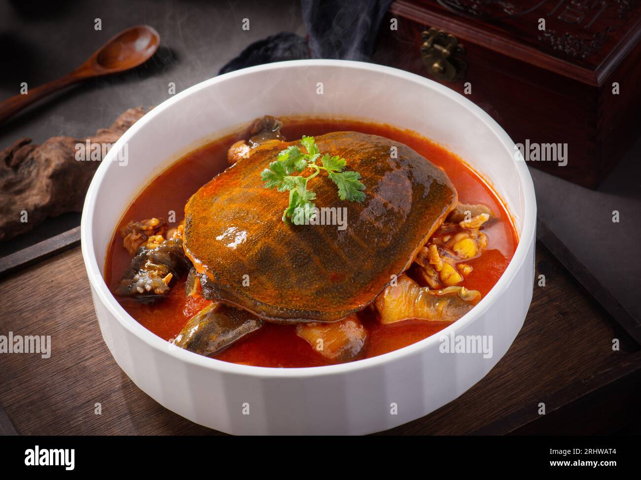 Tortue en pierre, tortue braisée en sauce brune, plat tortue à coquilles  molles Photo Stock - Alamy