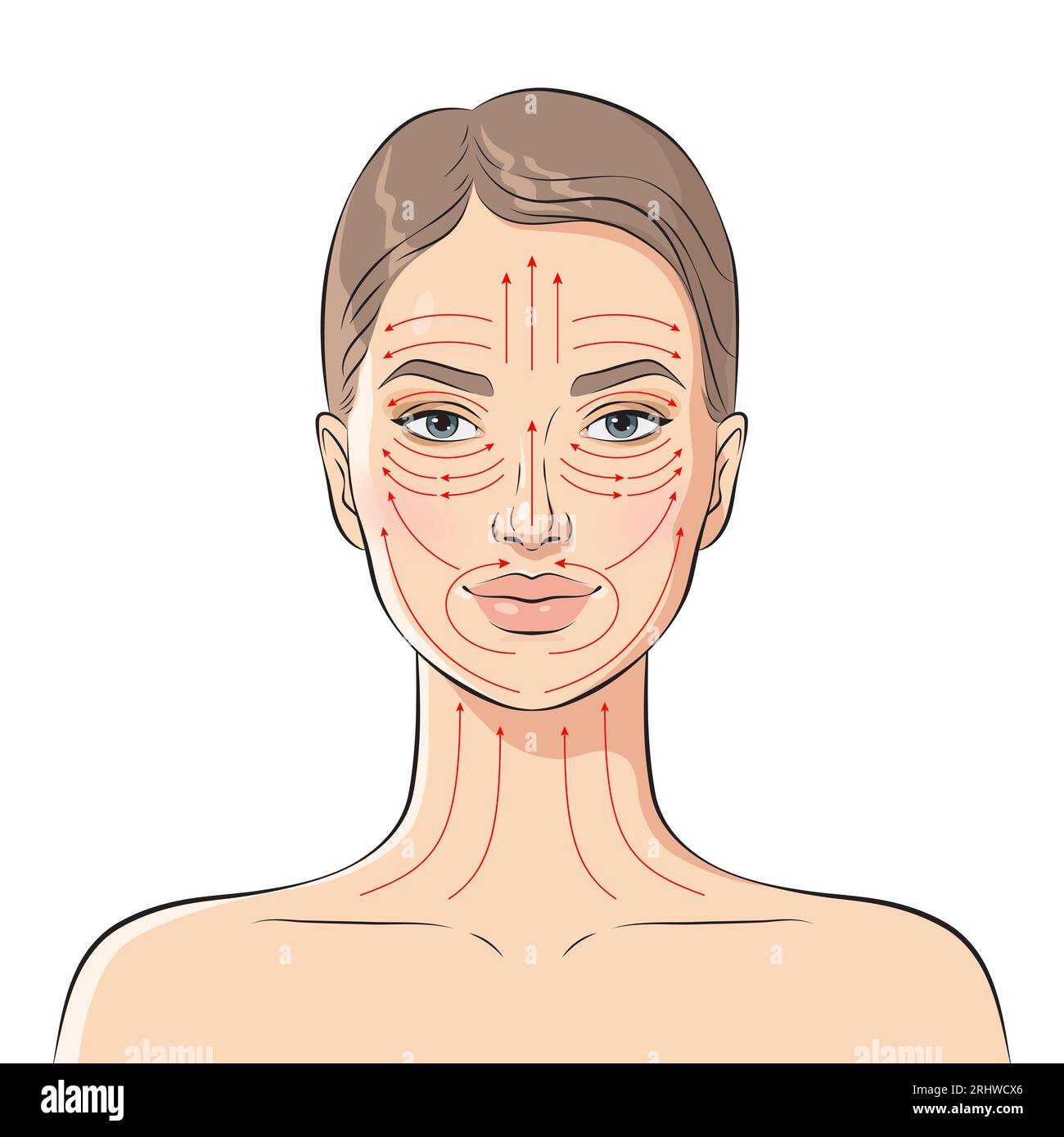 Lignes de massage du visage. Instructions de massage facial, illustration vectorielle. Illustration de Vecteur