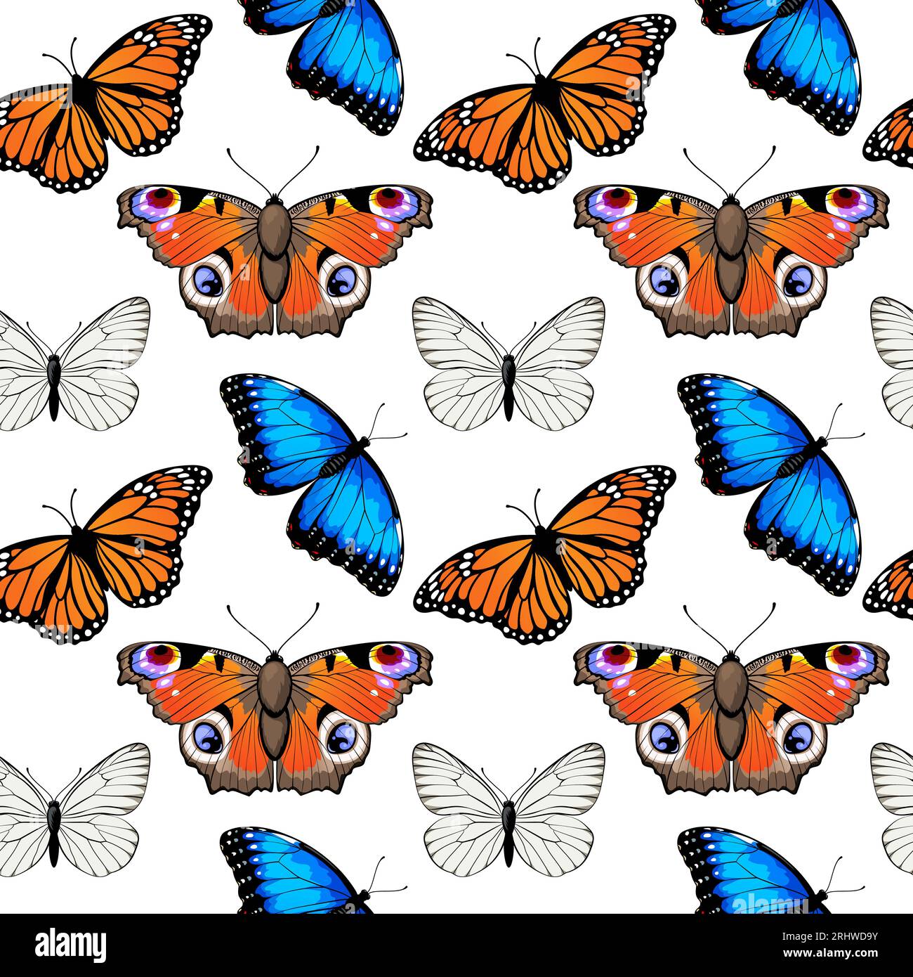 Modèle sans couture avec des papillons monarques et des papillons morpho bleus. Illustration de Vecteur