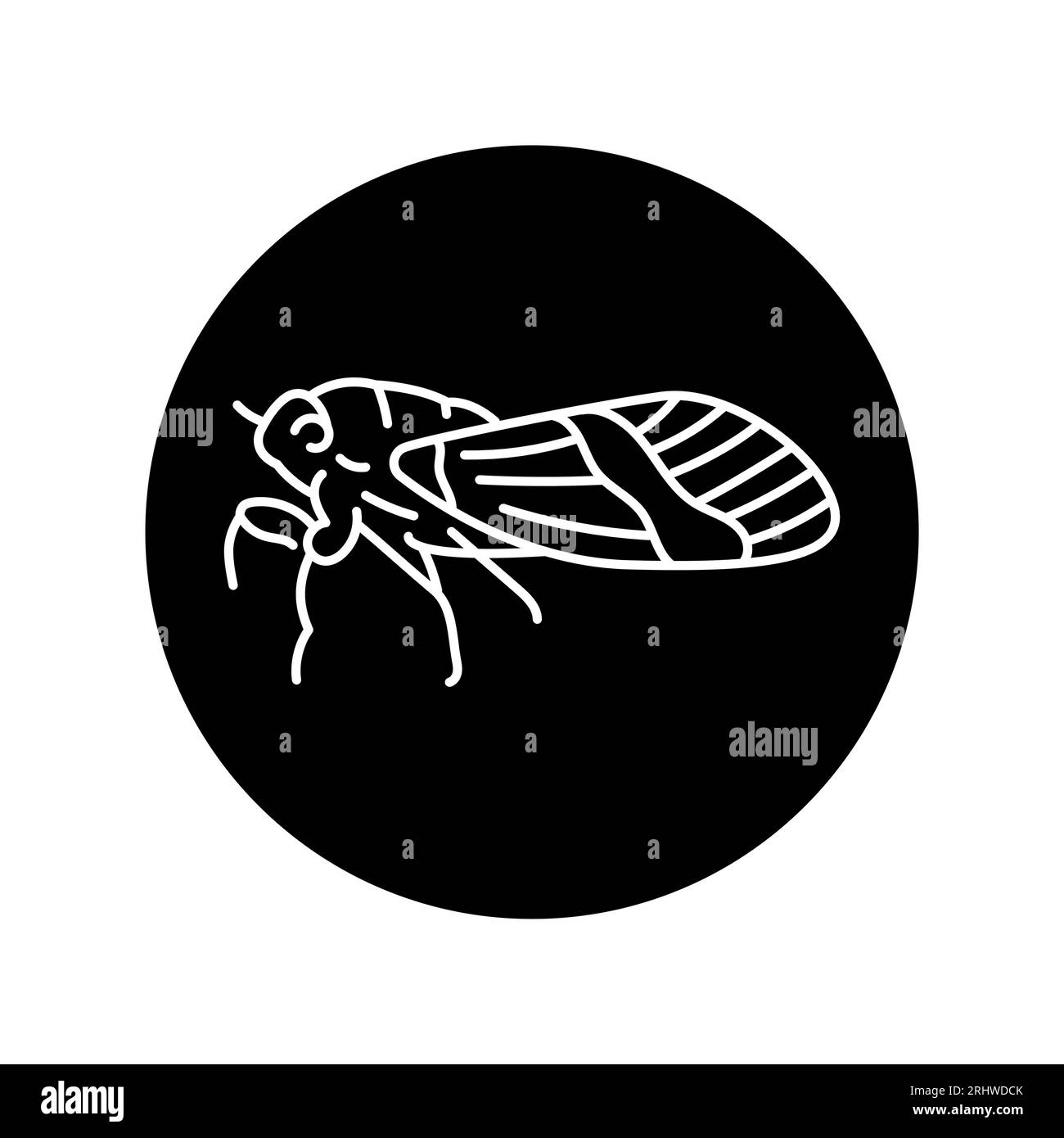 Icône Cicada en ligne noire. Pictogramme pour page Web, application mobile, Promo. Illustration de Vecteur