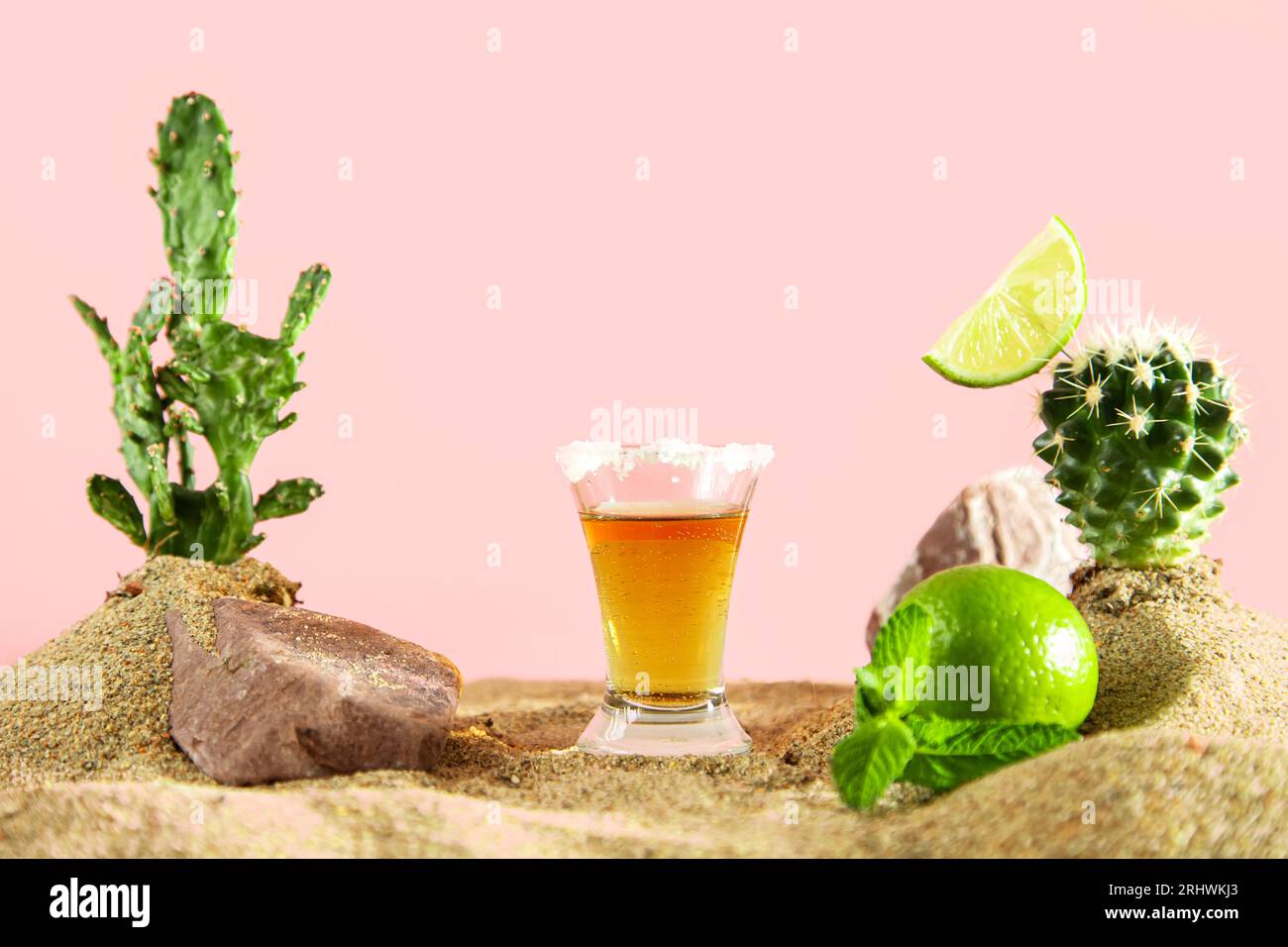 Cliché de tequila mexicaine avec chaux et sel parmi les dunes de sable et les cactus. Fond rose. Banque D'Images