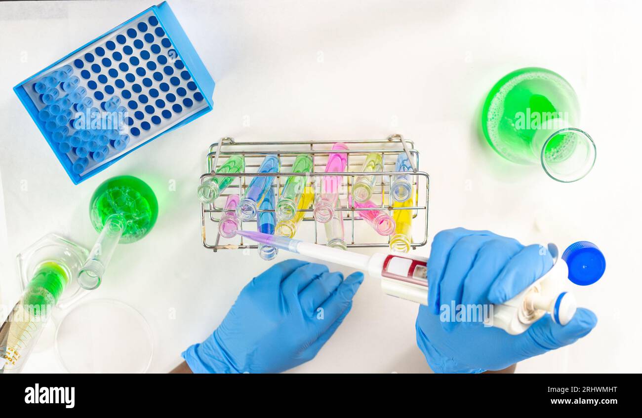 Gros plan des mains d'une femme avec des gants sur le prélèvement d'un échantillon d'un liquide dans un tube à essai à l'aide d'une micropipette. Banque D'Images