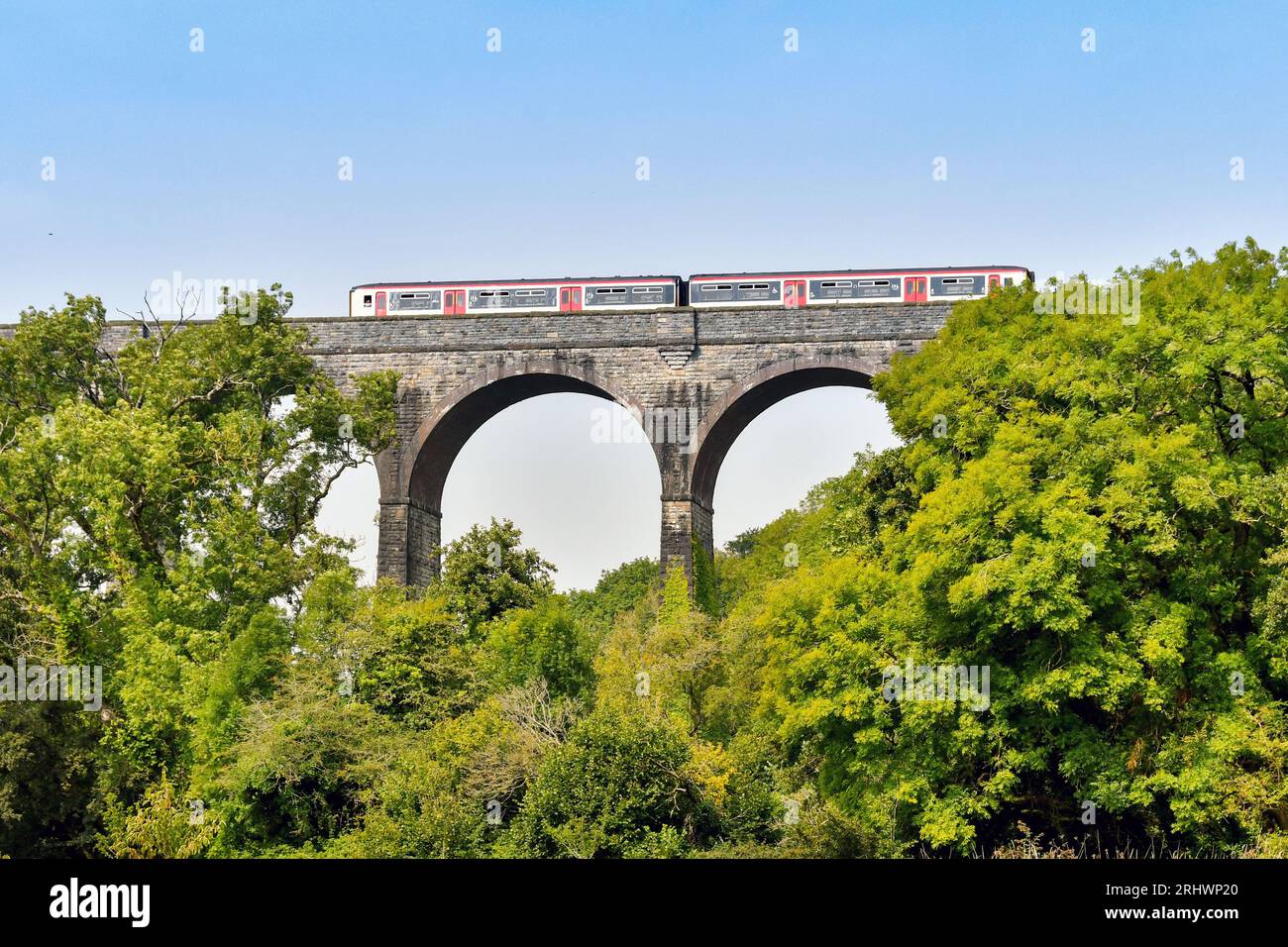 Barry, pays de Galles - 17 août 2023 : train de banlieue exploité par transport for Wales traversant le viaduc de pierre sur Porthkerry Country Psrk dans le sud du pays de Galles Banque D'Images