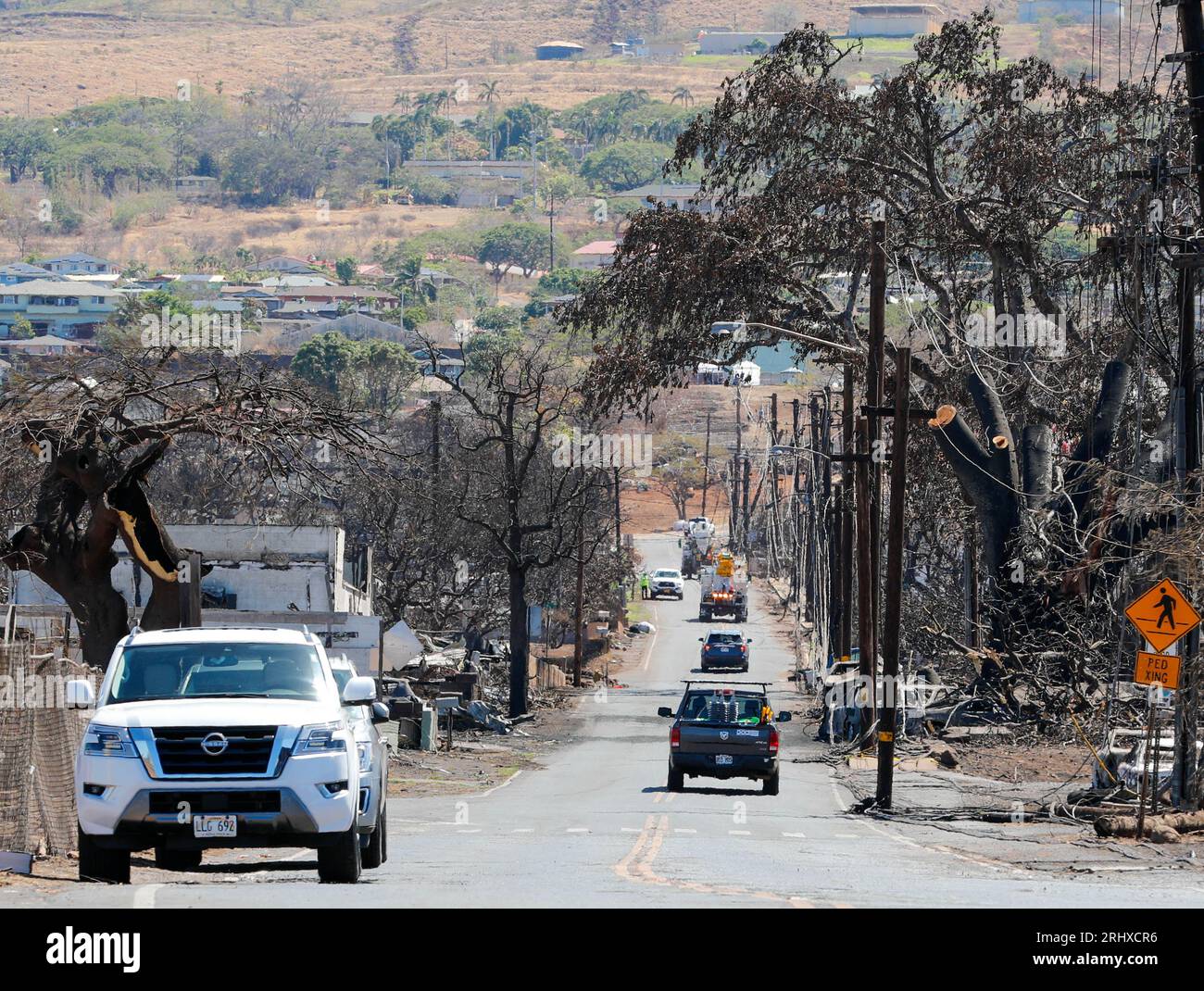 Les éléments de recherche, de sauvetage et de rétablissement de la Force opérationnelle interarmées 50 (JTF-50) mènent des opérations de recherche dans les zones endommagées par les feux de forêt à Lahaina, Maui, le 18 août 2023. Les membres de la JTF-50 de l'armée et de la Garde nationale aérienne d'Hawaï, de l'armée américaine en service actif et de la Réserve soutiennent activement les autorités du comté de Maui pour assurer la sécurité, la sûreté et le bien-être immédiats aux personnes touchées par les feux de forêt afin d'assurer un soutien indéfectible à la communauté de Maui et aux premiers intervenants. (Photo de la Garde nationale de l'armée américaine par SPC. Sean Walker) Banque D'Images