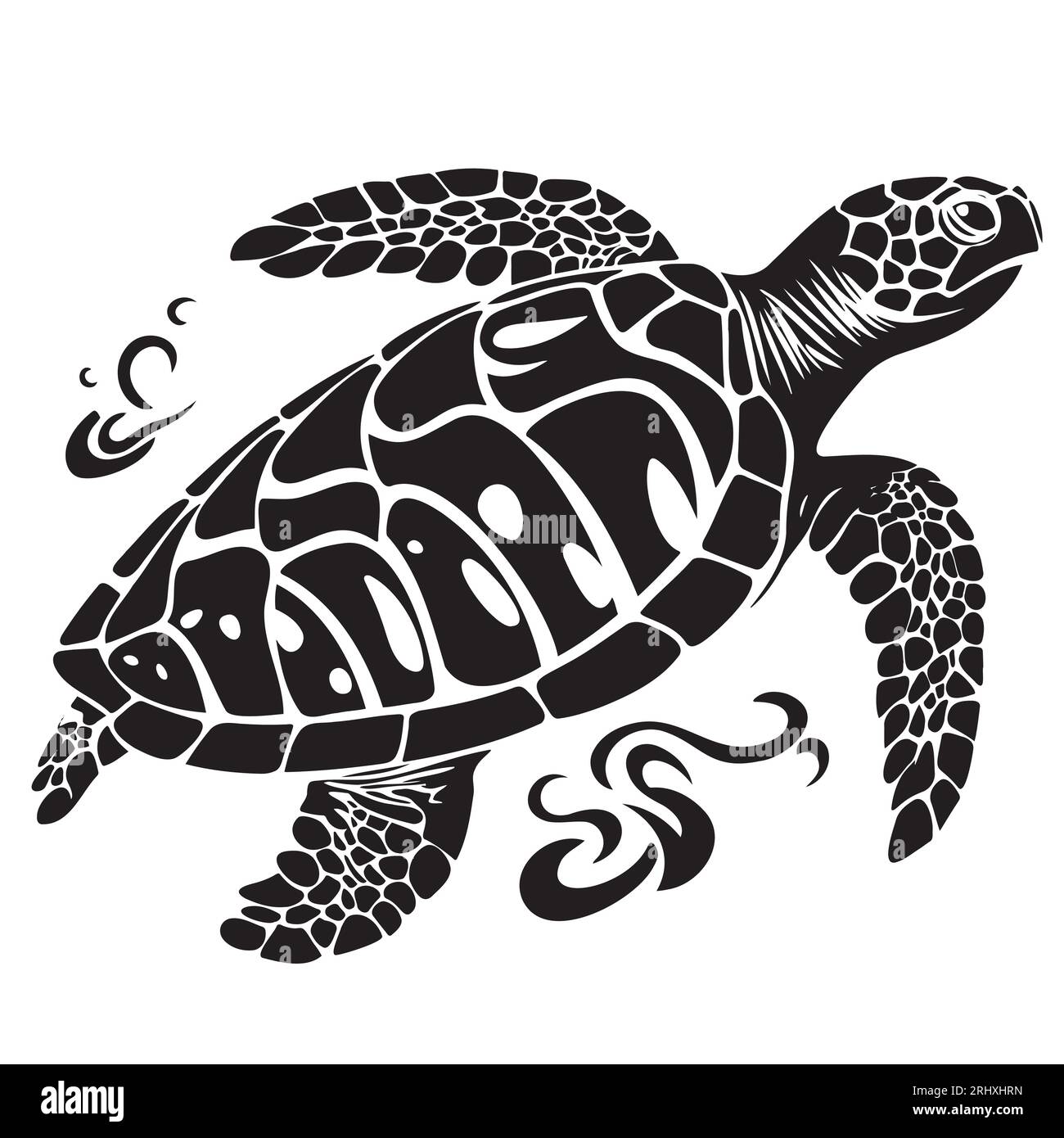 Tortue noir blanc Banque d'images détourées - Alamy