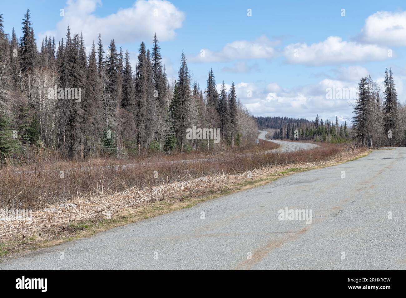 Alaska Highway 4 à partir de l'aire de repos du mont Billy Mitchell Banque D'Images
