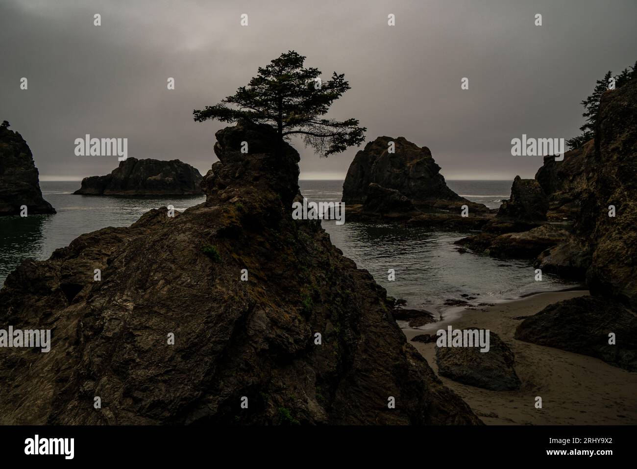 Secret Beach au parc national Samuel Boardman, sud-ouest de l'Oregon Banque D'Images