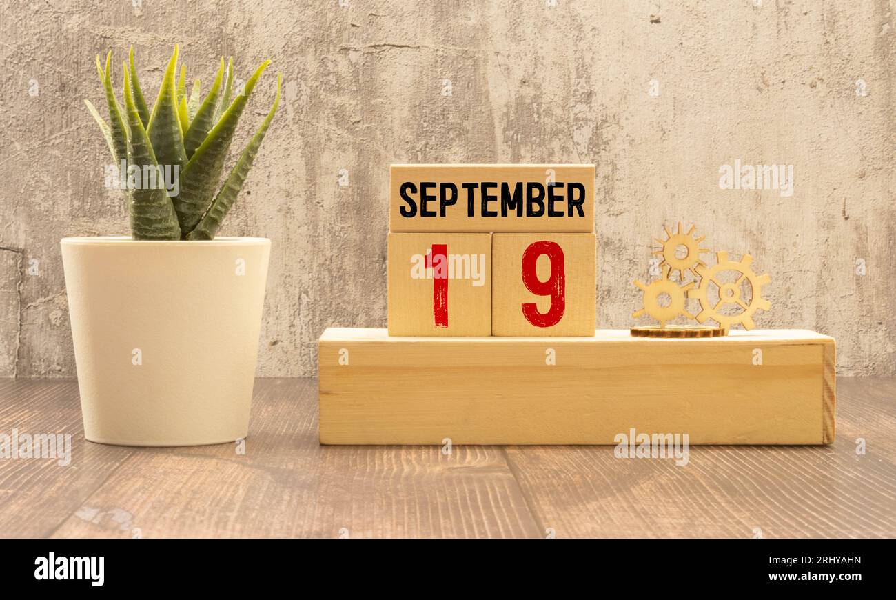 19 septembre .septembre 19 sur cubes en bois sur fond blanc.Pot avec une fleur .Calendrier pour septembre. Banque D'Images